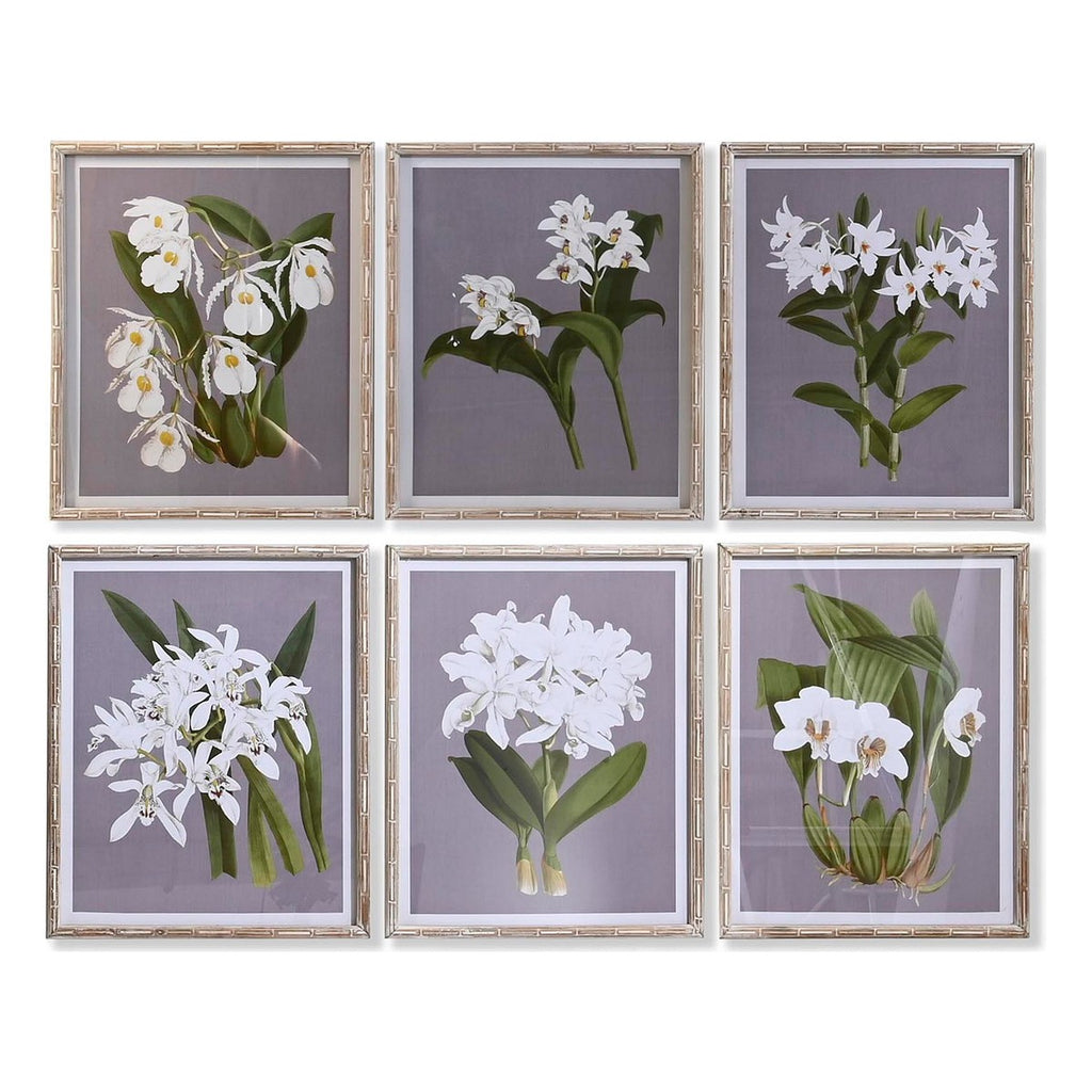 Juego de 6 cuadros florales de cristal y abeto, 50 cm