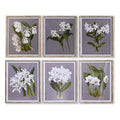 Juego de 6 cuadros florales de cristal y abeto, 50 cm