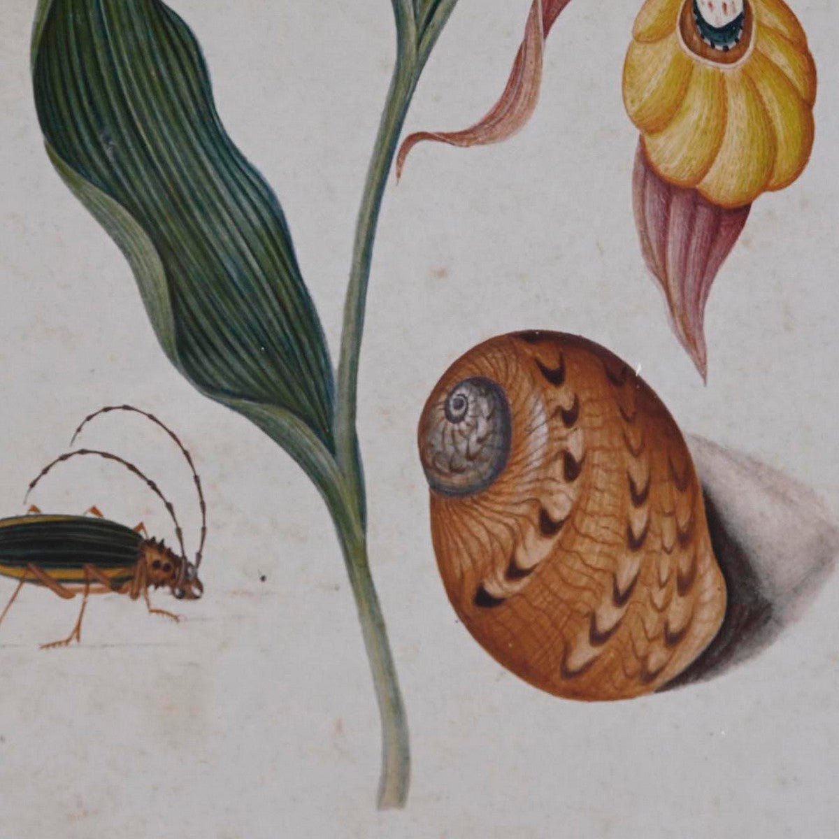 Juego de 4 cuadros con flores, cristal y abeto (4 piezas) — imagen 3