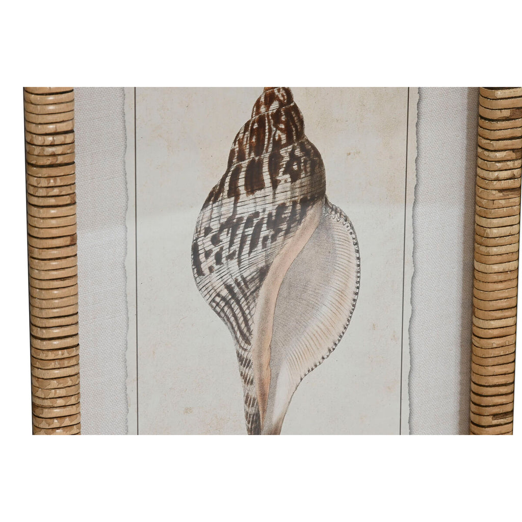 Juego de 9 cuadros mediterráneos con caracola, 30 x 2,5 x 40 cm — imagen 2