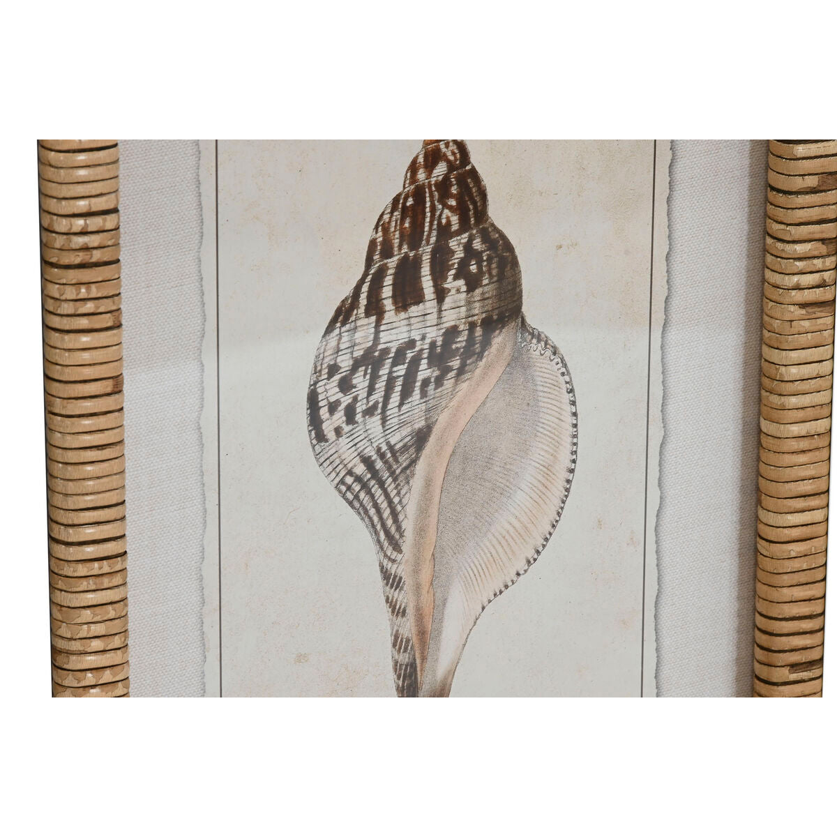 Juego de 9 cuadros mediterráneos con caracola, 30 x 2,5 x 40 cm — imagen 2