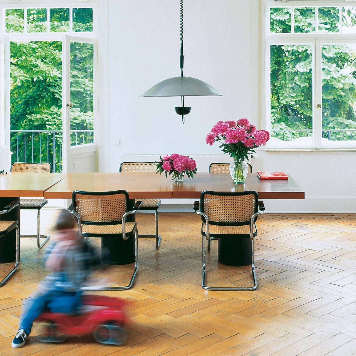 Thonet Aktionsset S 32 V Freischwinger Stuhl + Fell