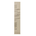 Ferm Living Parade Wandregal H 140cm